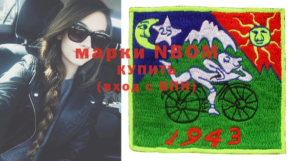 шишки Белокуриха