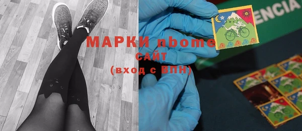 хмурый Сатка