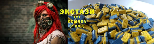 шишки Белокуриха
