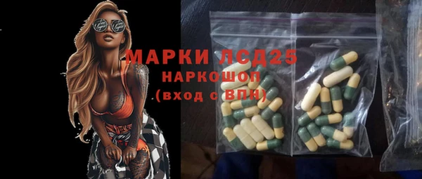 шишки Белокуриха