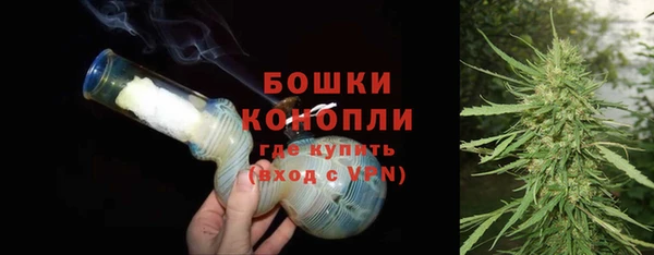 шишки Белокуриха