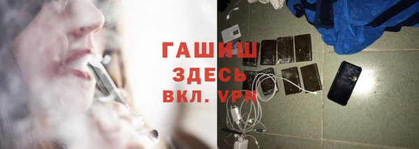 шишки Белокуриха
