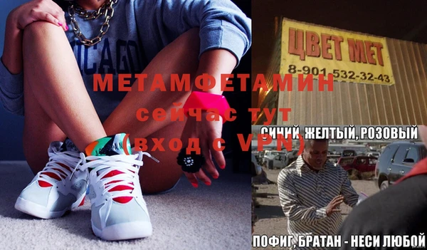 шишки Белокуриха