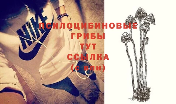 шишки Белокуриха